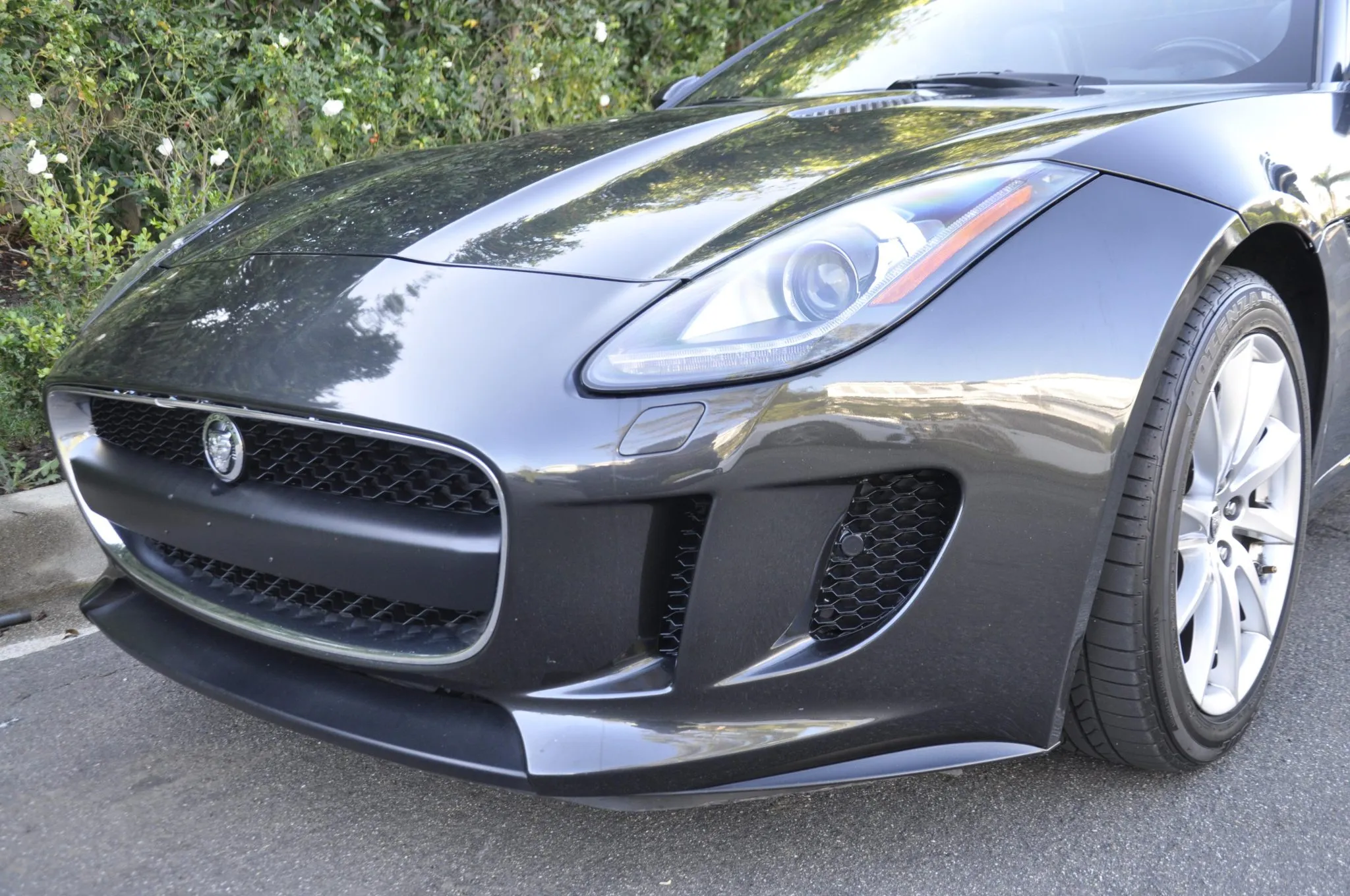 2014_jaguar_f-type-convertible_DSC0109-43283-scaled