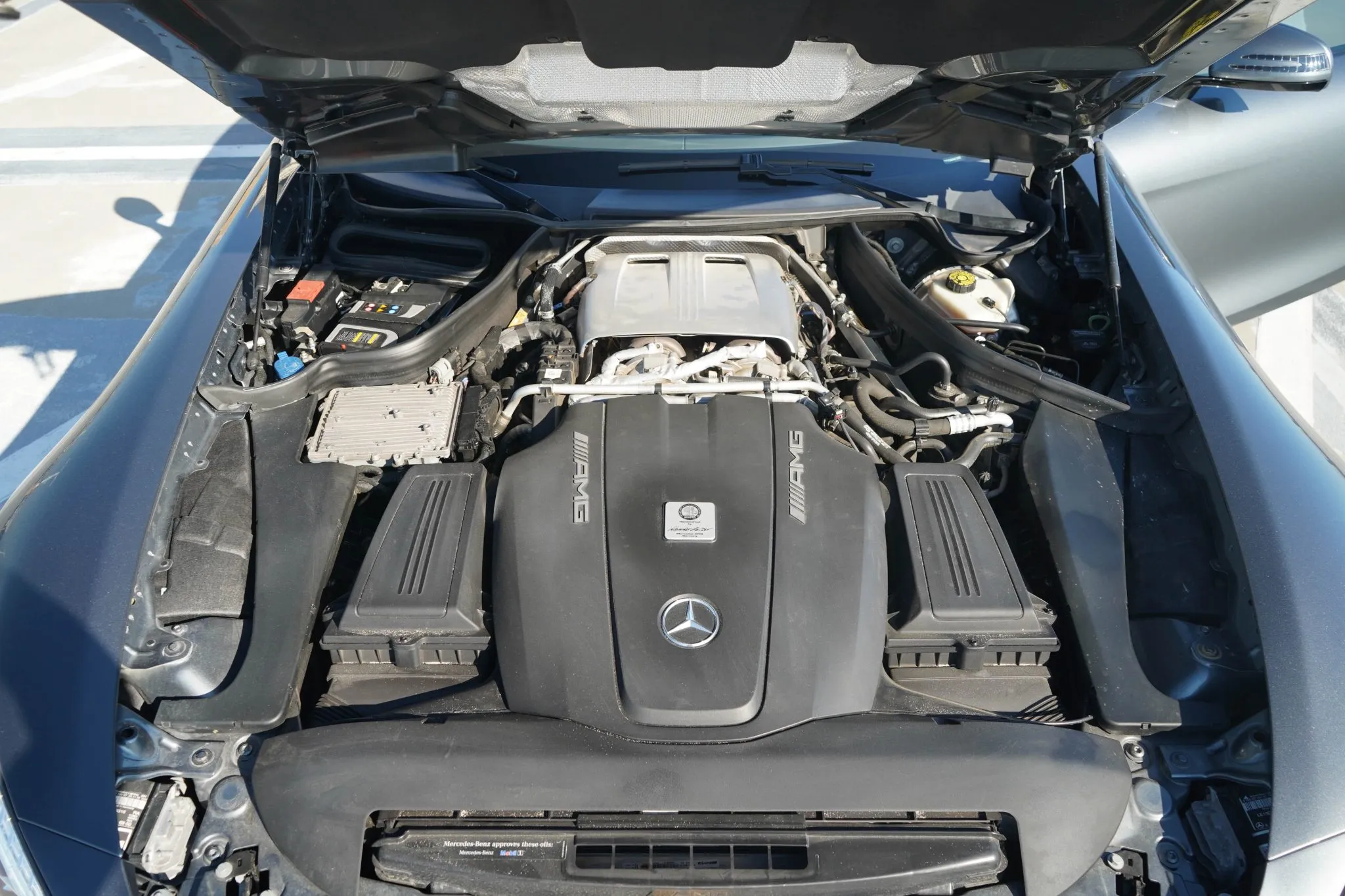 COG05277-34049-scaled (1)