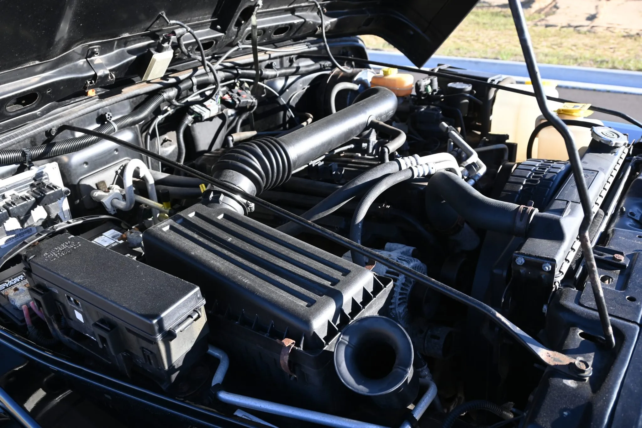 DSC_4342-29630-scaled