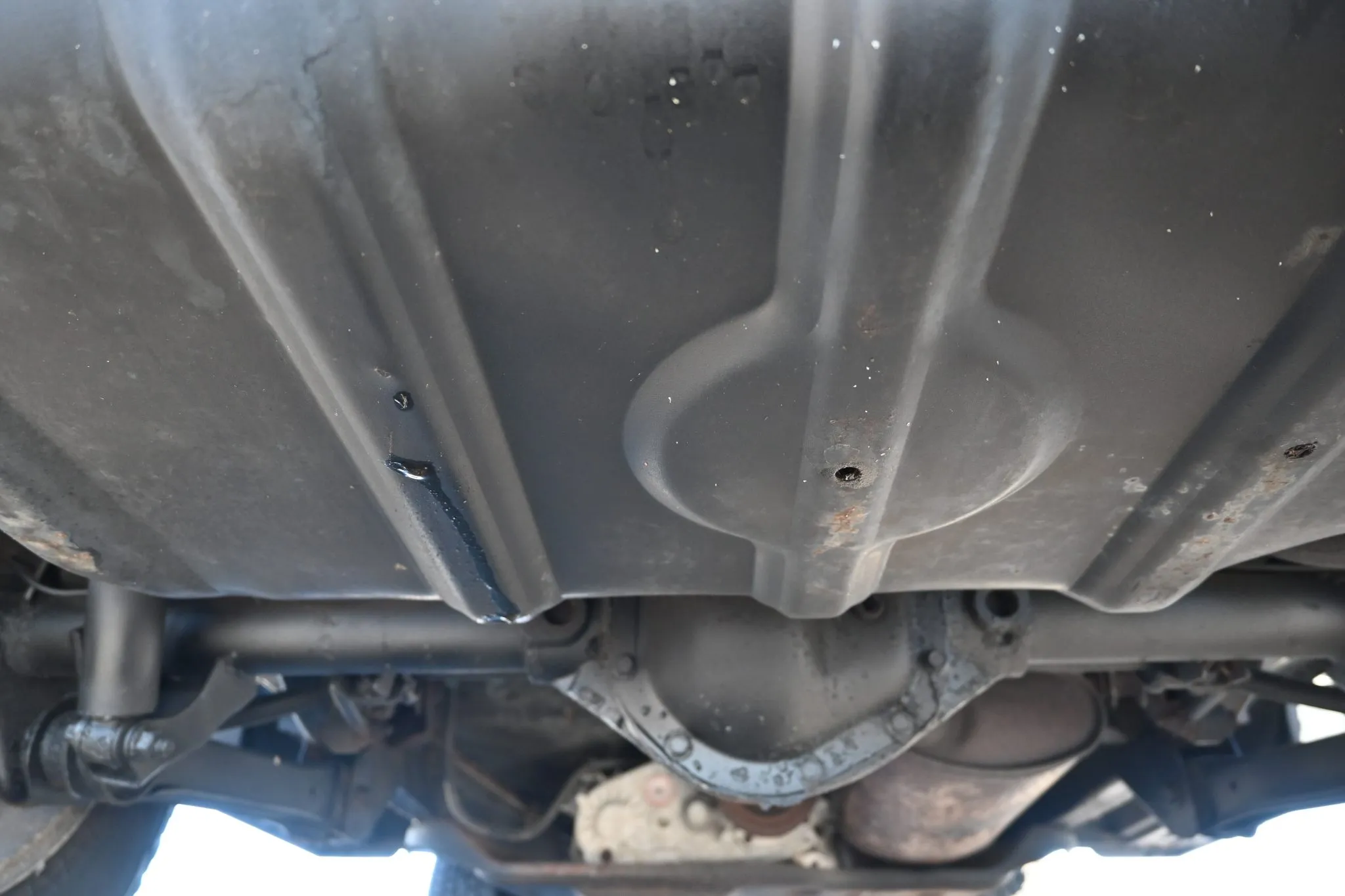 DSC_4385-30022-scaled