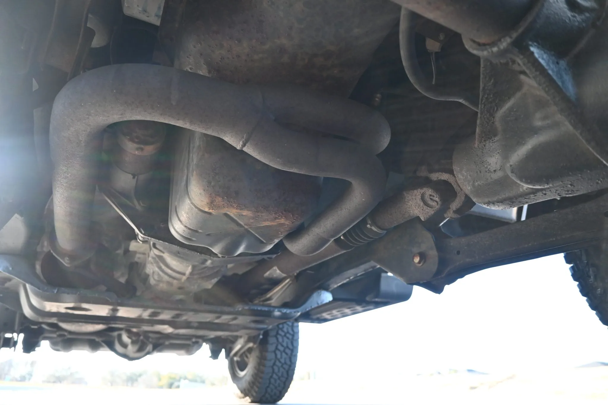 DSC_4401-30110-scaled