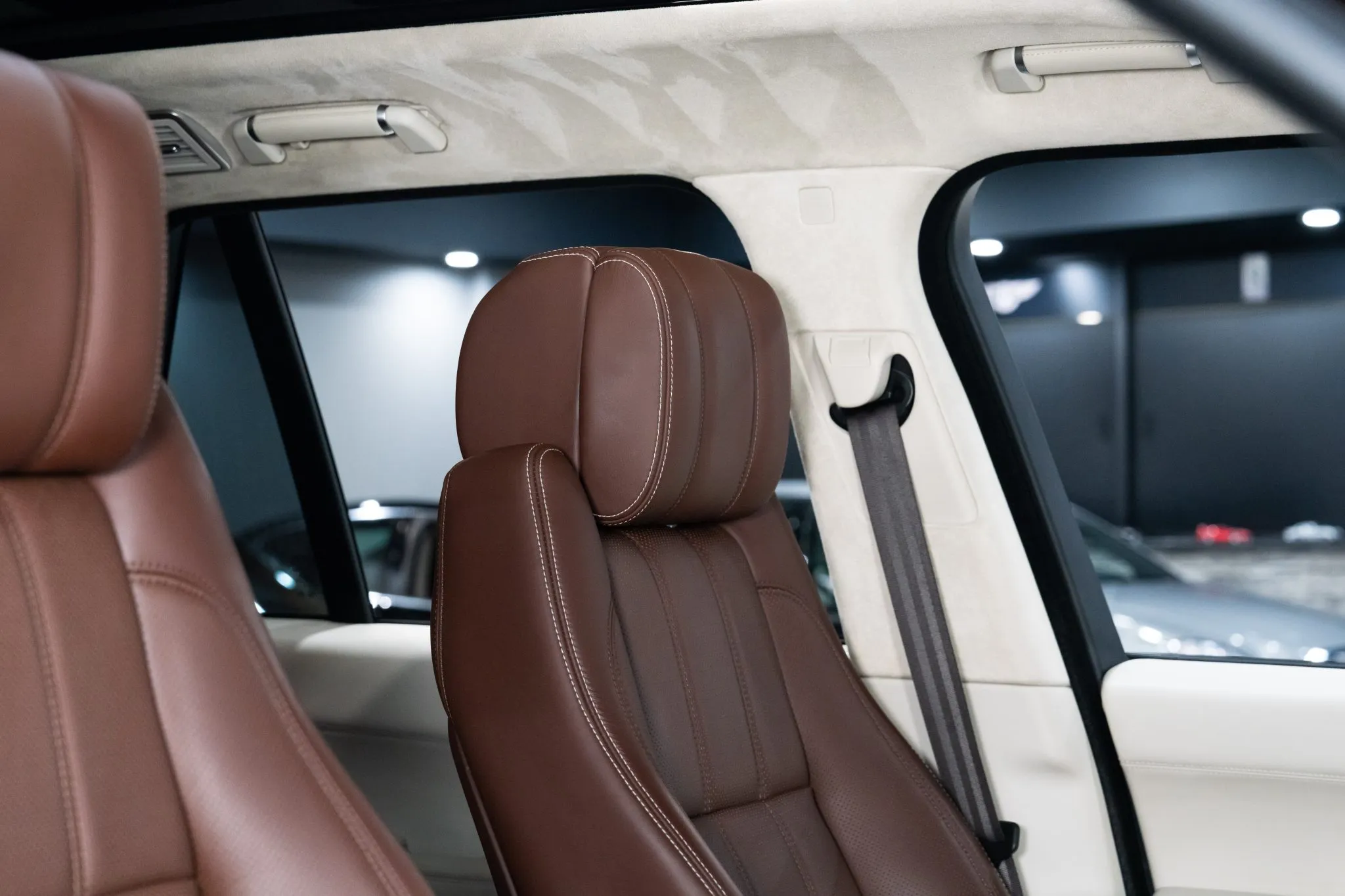 auto-bio-253-43044-scaled