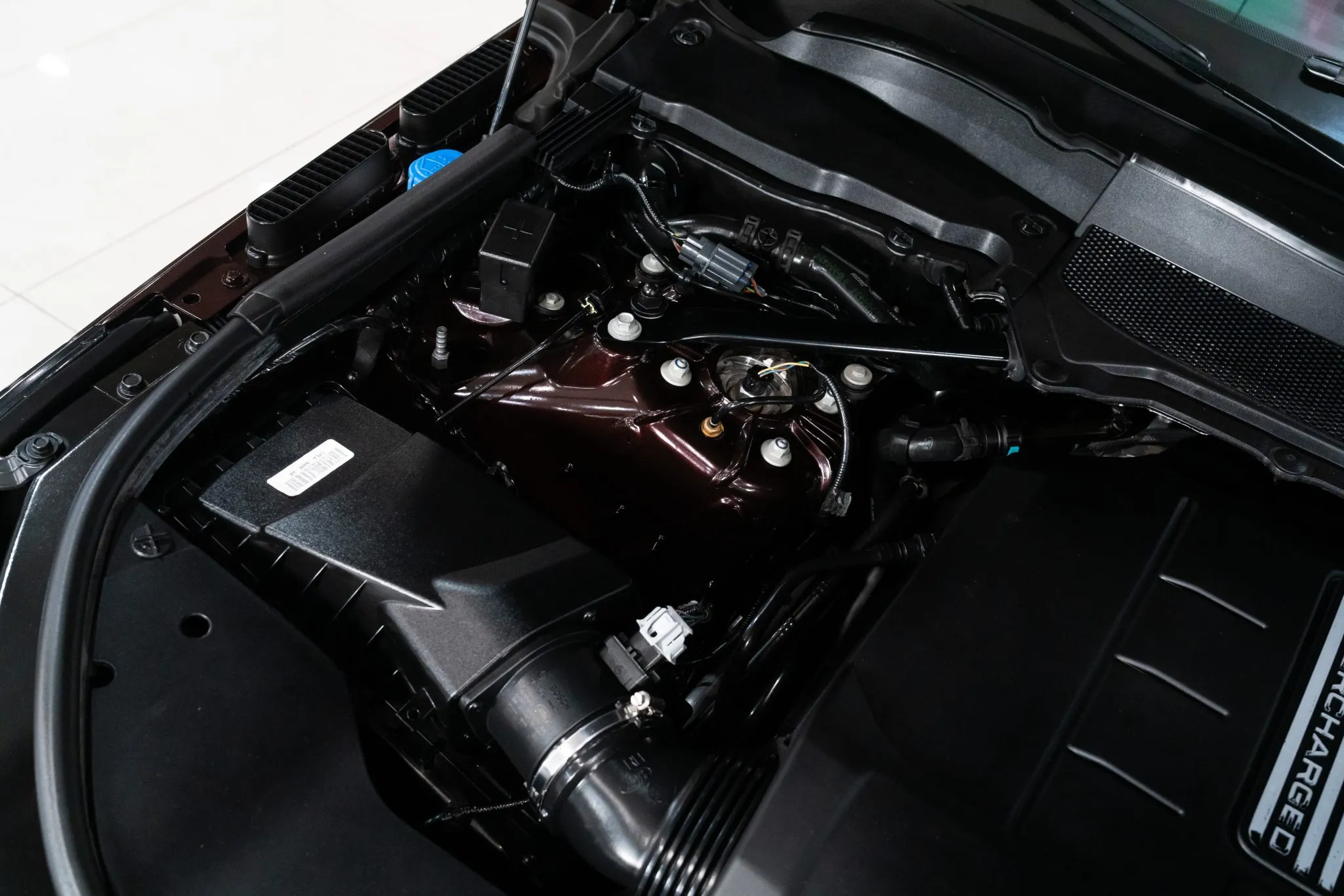 auto-bio-53-41311-scaled