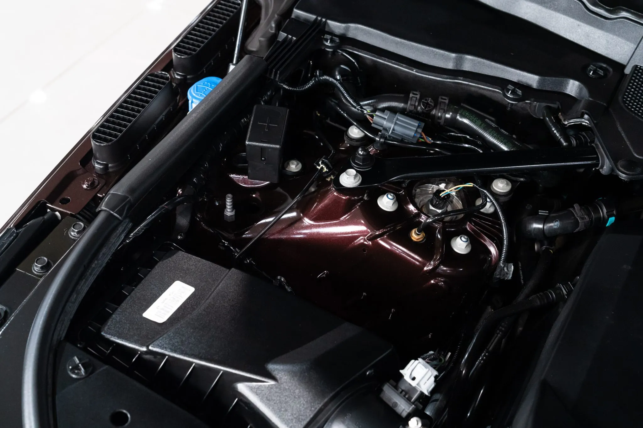 auto-bio-54-41318-scaled